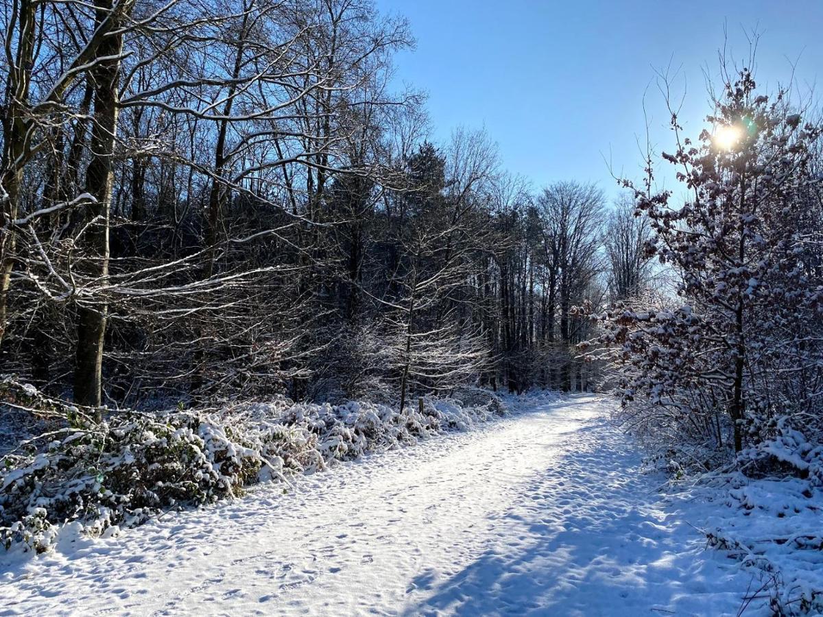 Vakantiewoning Hakuna Matata Geraardsbergen Bagian luar foto