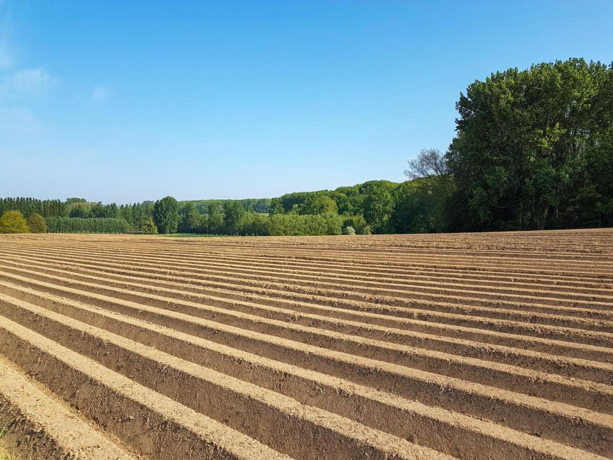 Vakantiewoning Hakuna Matata Geraardsbergen Bagian luar foto