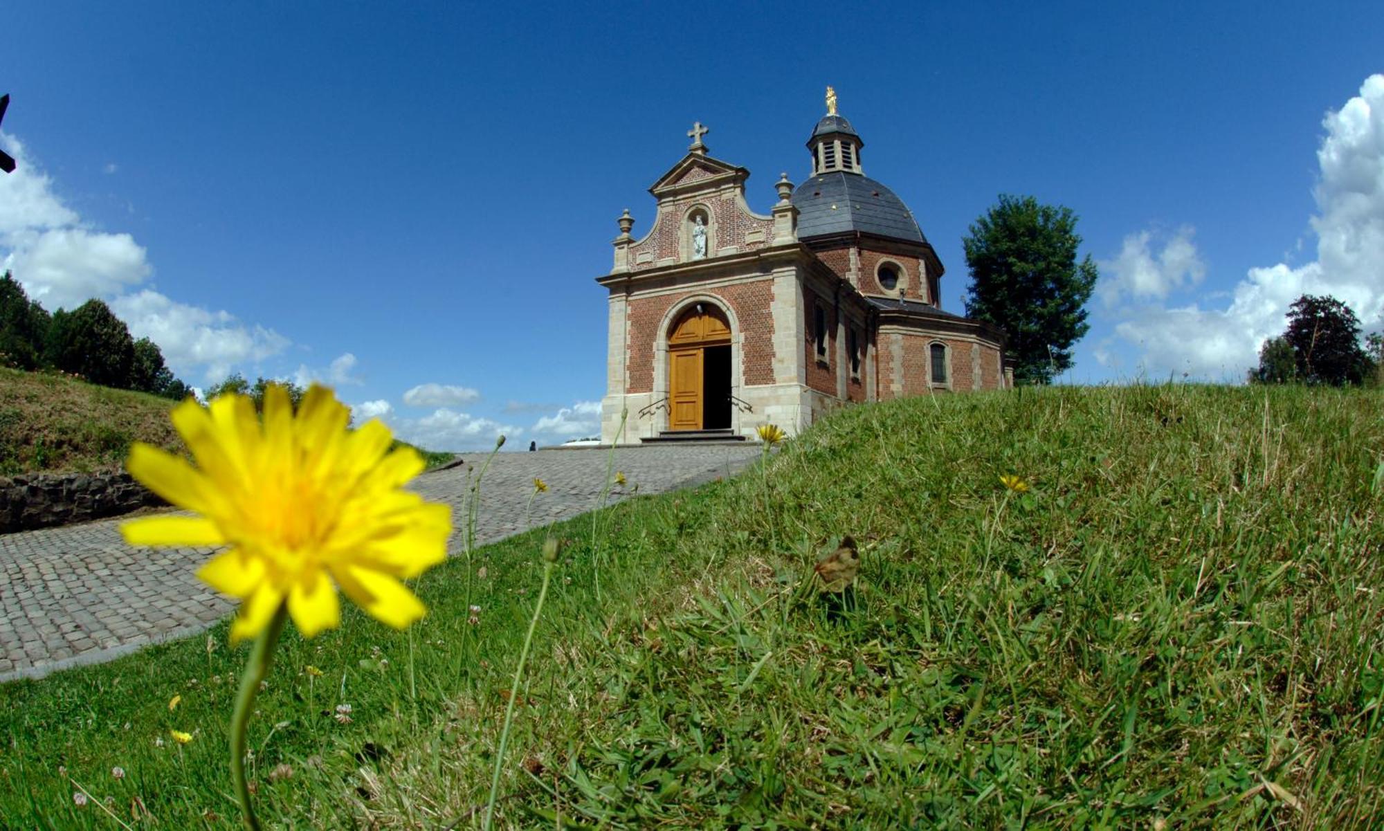 Vakantiewoning Hakuna Matata Geraardsbergen Bagian luar foto